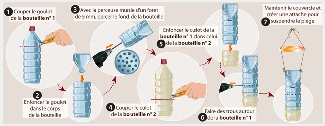 piege-frelons-asiatiques-selectif.jpg